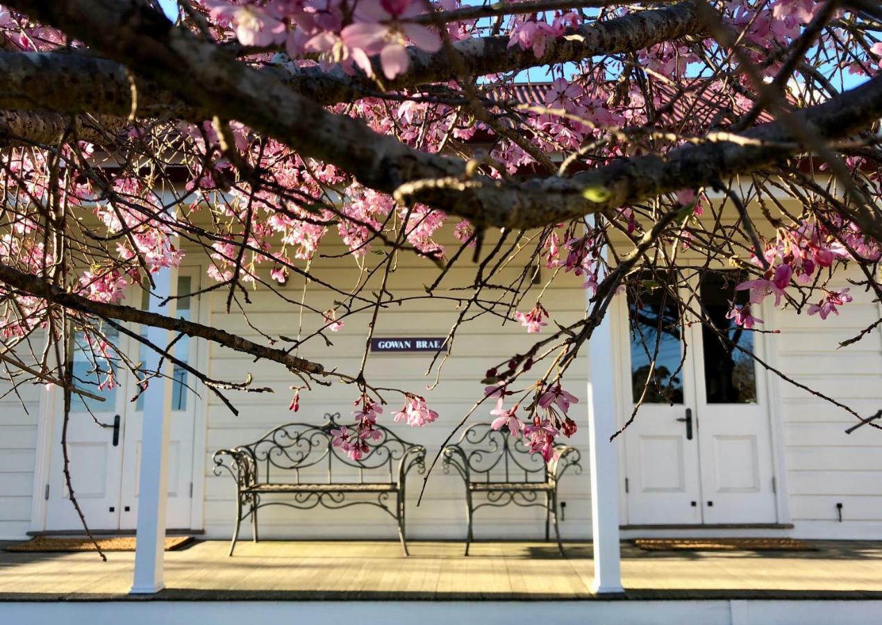 Gowan Brae Cottage Katoomba Dış mekan fotoğraf